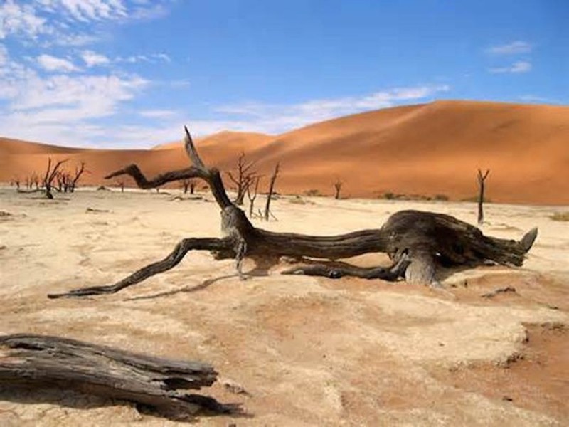 " Lò hỏa thiêu" ở thung lũng Tử thần, Mỹ- Thung lũng này rất nóng. Nằm ở sa mạc Mojave ở California, nhiệt độ cao nhất nơi đây là 56,7 độ C vào năm 1913.